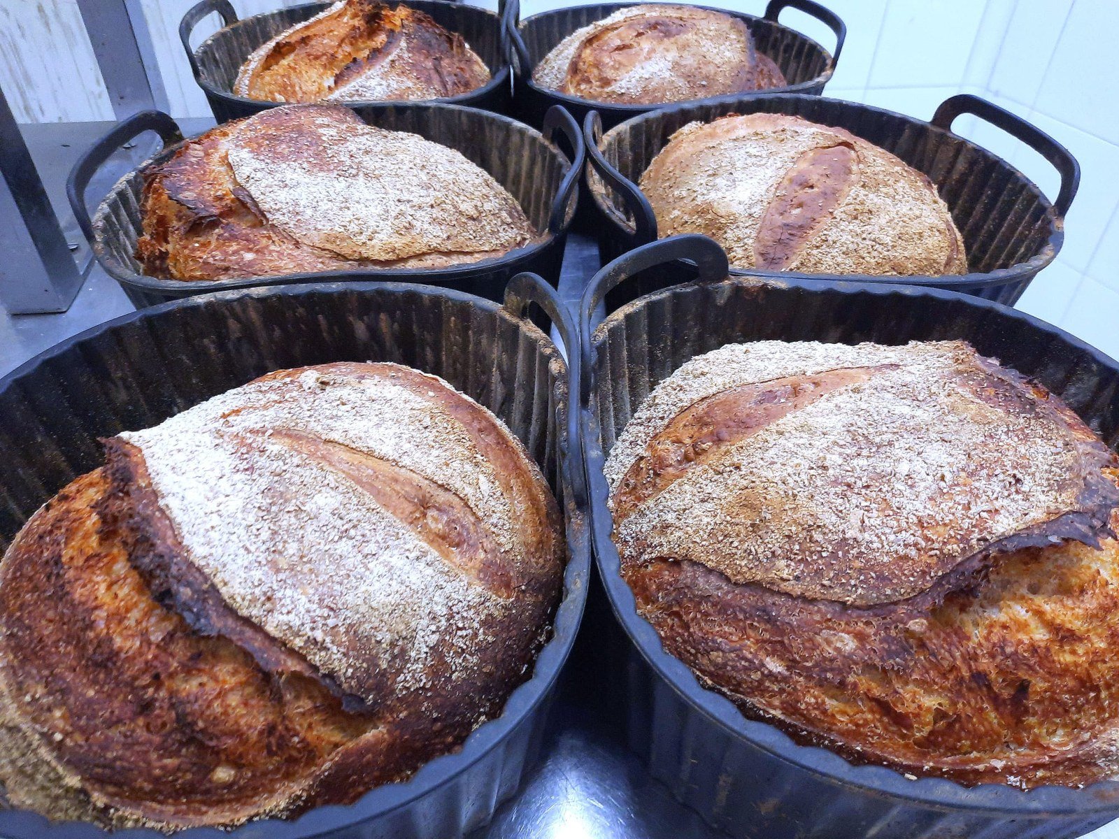 Panes de masa madre caseros recién horneados en Ca Nostra